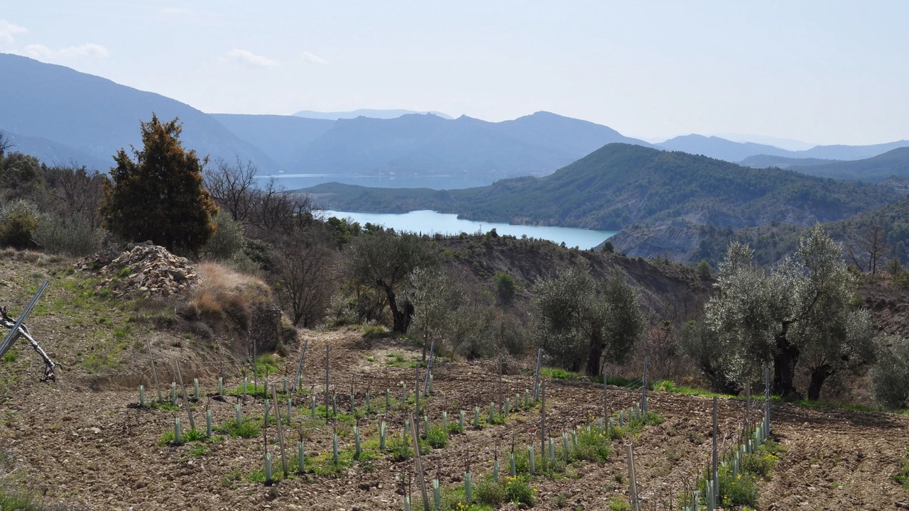 Photo of Others in Coscojuela de Sobrarbe