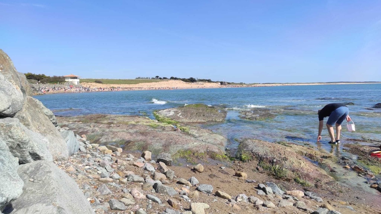 Photo of Others in Brem Sur Mer