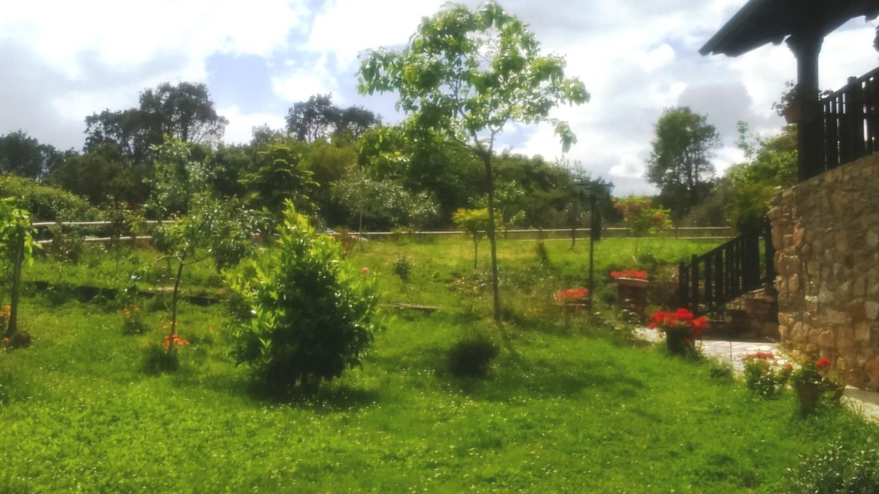 Photo of Others in Carucedo