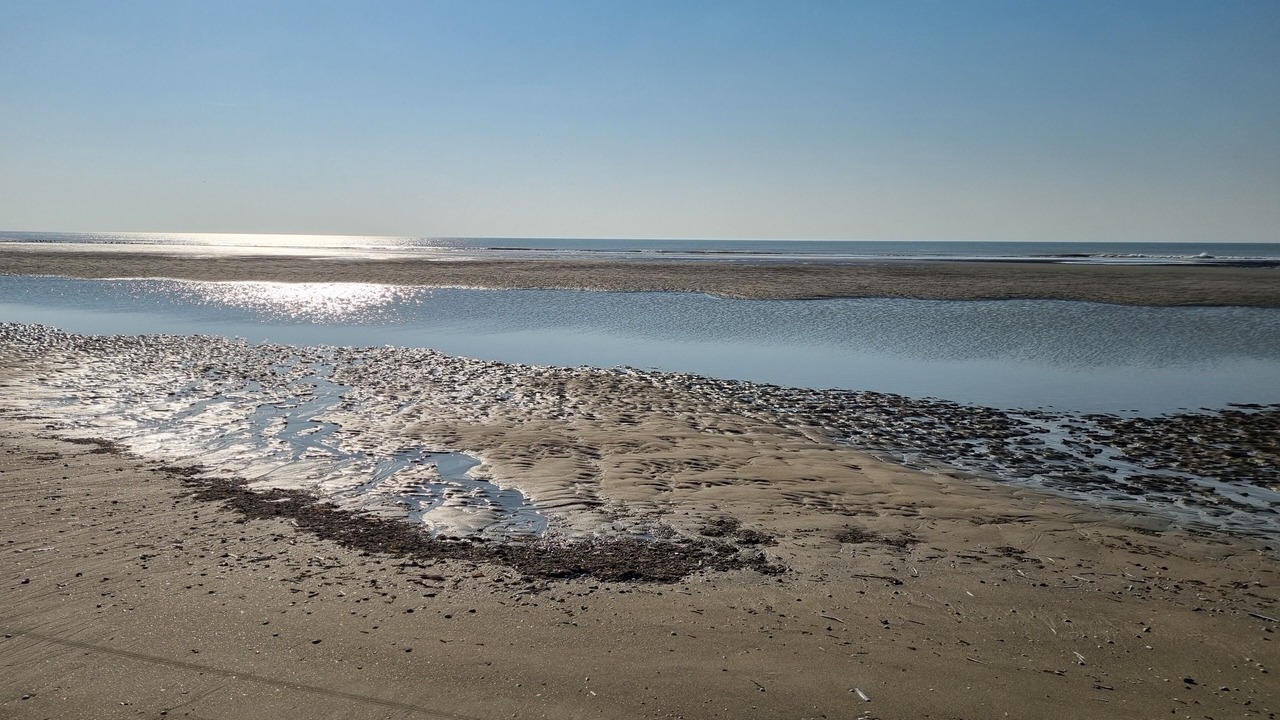 Photo of Others in Stella-Plage
