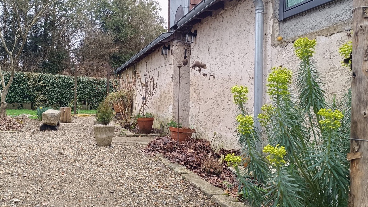 Photo of Outdoor in Cerans-Foulletourte