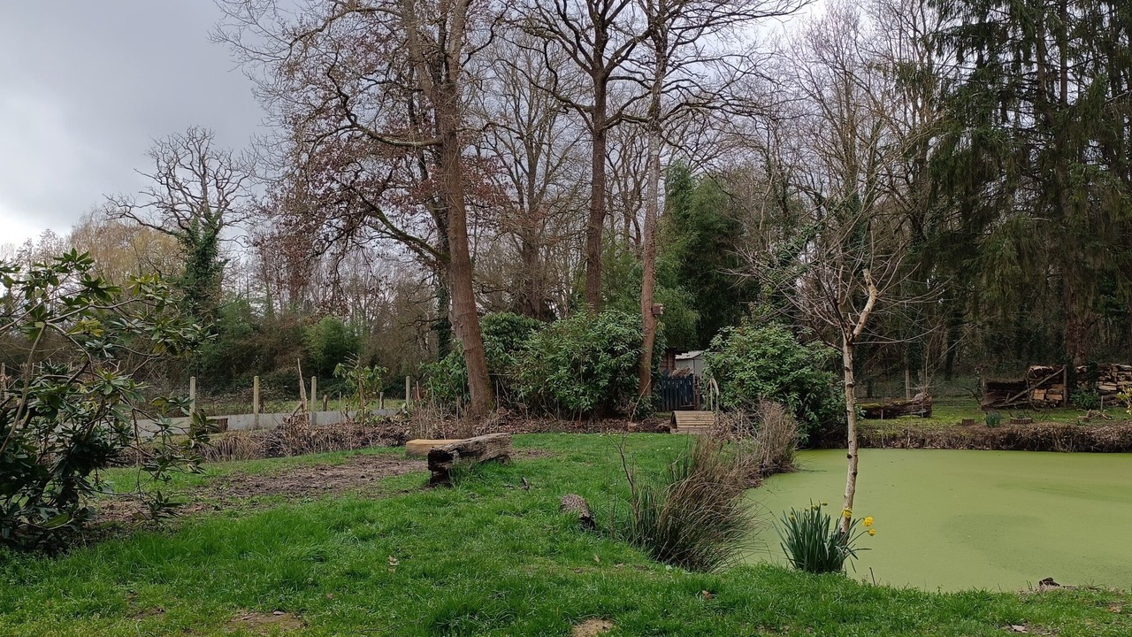 Photo of Outdoor in Cerans-Foulletourte
