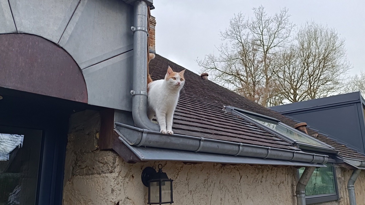 Photo of Others in Cerans-Foulletourte