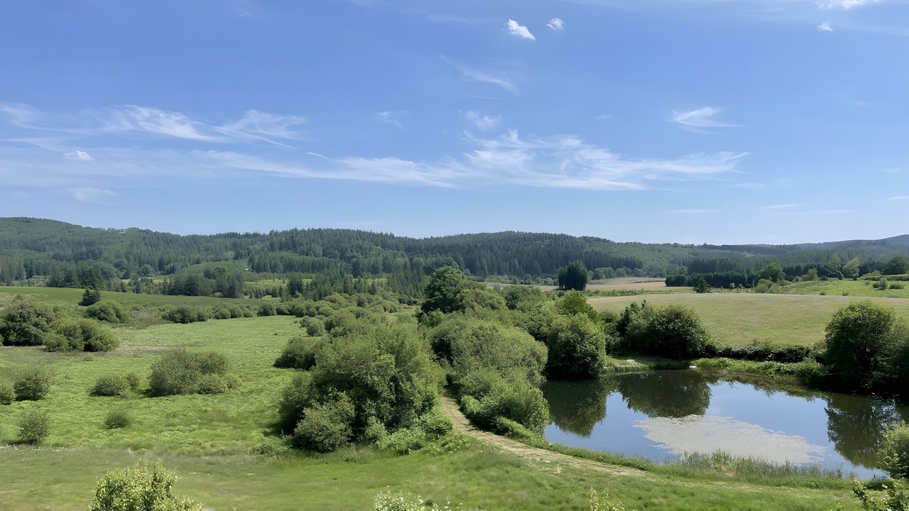 Photo of Others in La Salvetat-sur-Agout