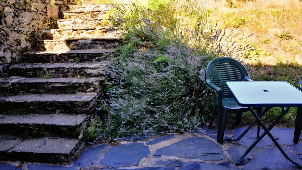 Photo of Outdoor in La Salvetat-sur-Agout