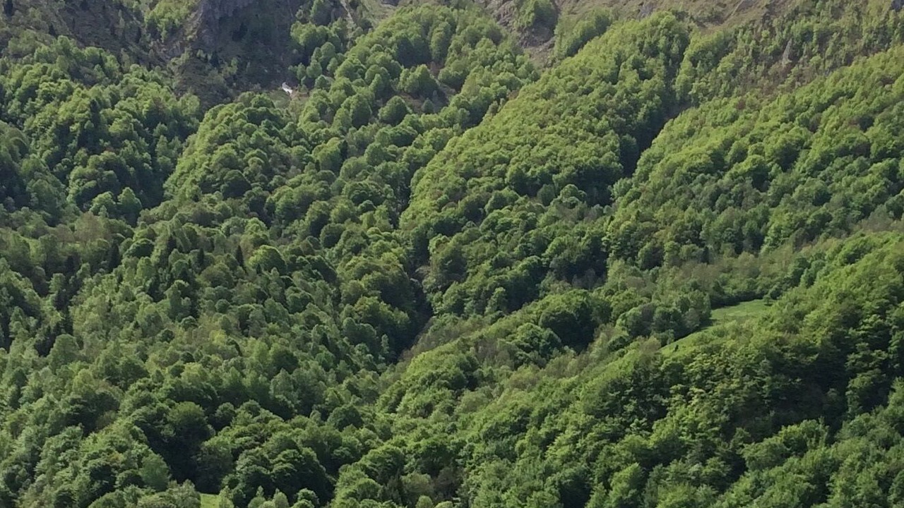 Photo of Others in Arrens-Marsous