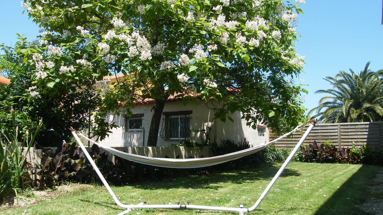 Photo of Outdoor in Latour-Bas-Elne