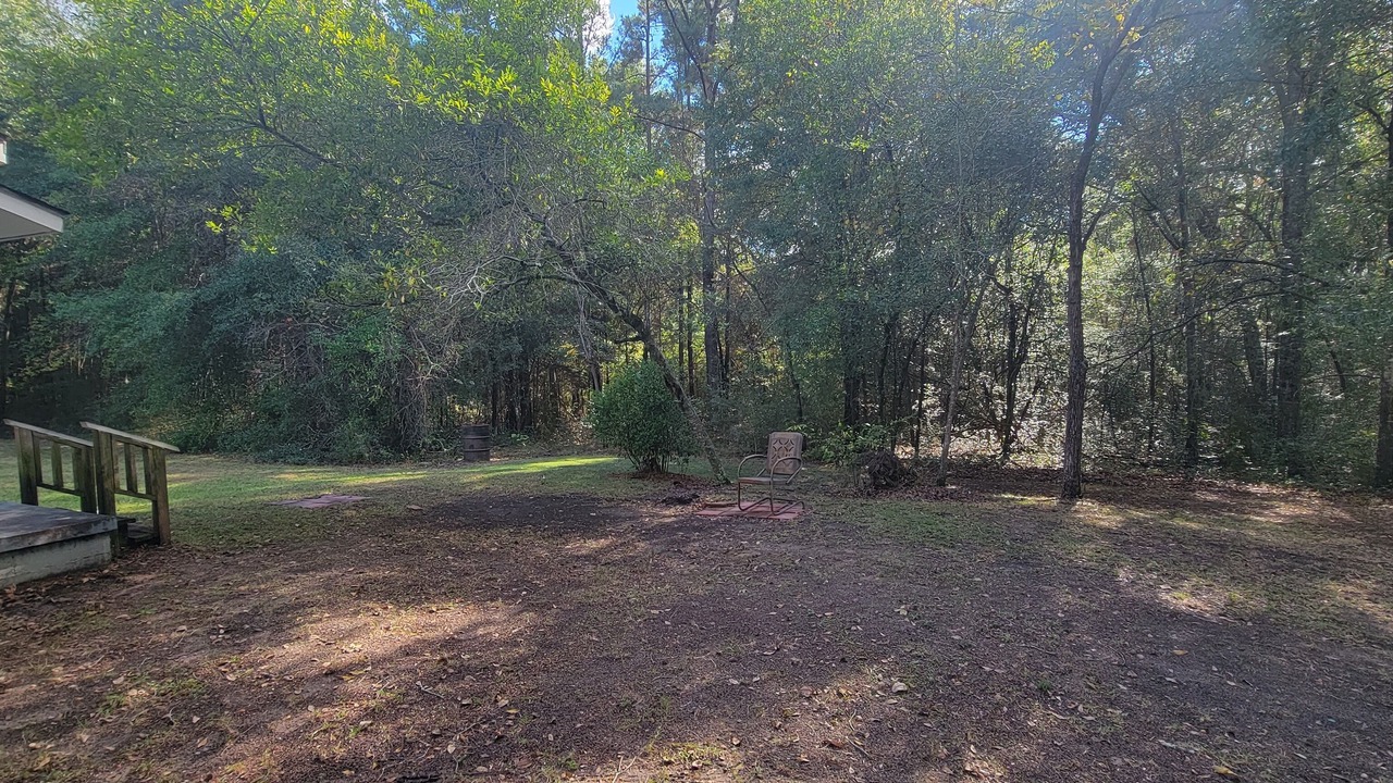 Photo of Outdoor in Ozark