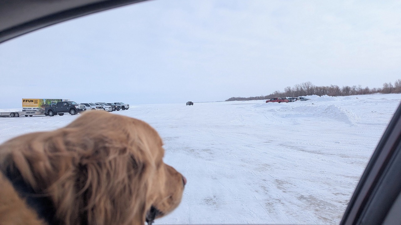 Photo of Others in Manitoba