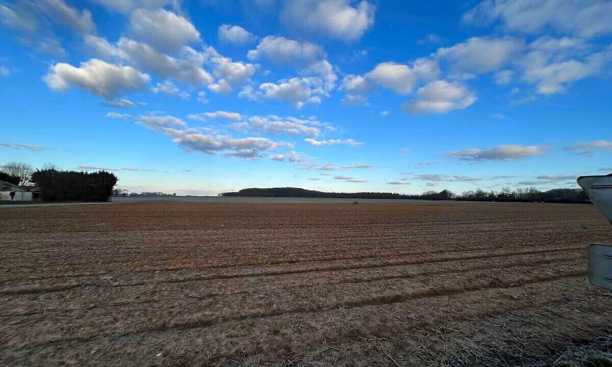 Photo of Others in Sasseville
