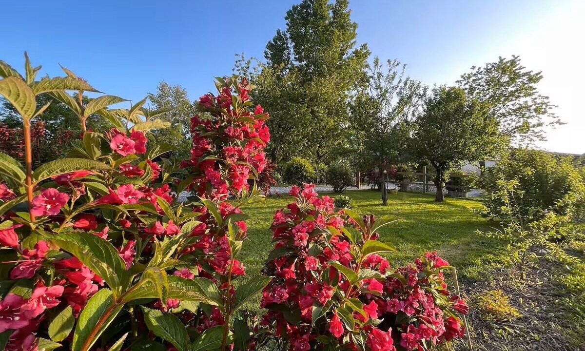 Photo of Outdoor in Sasseville