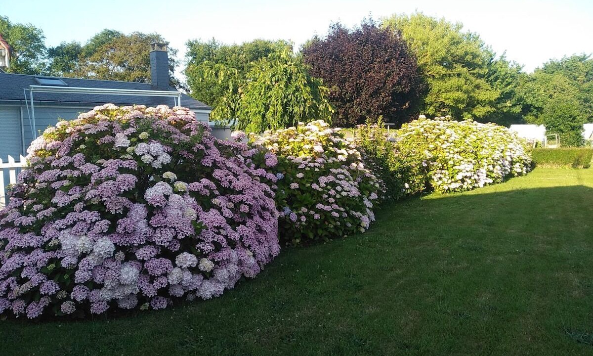 Photo of Outdoor in Saint-Aubin-sur-Mer