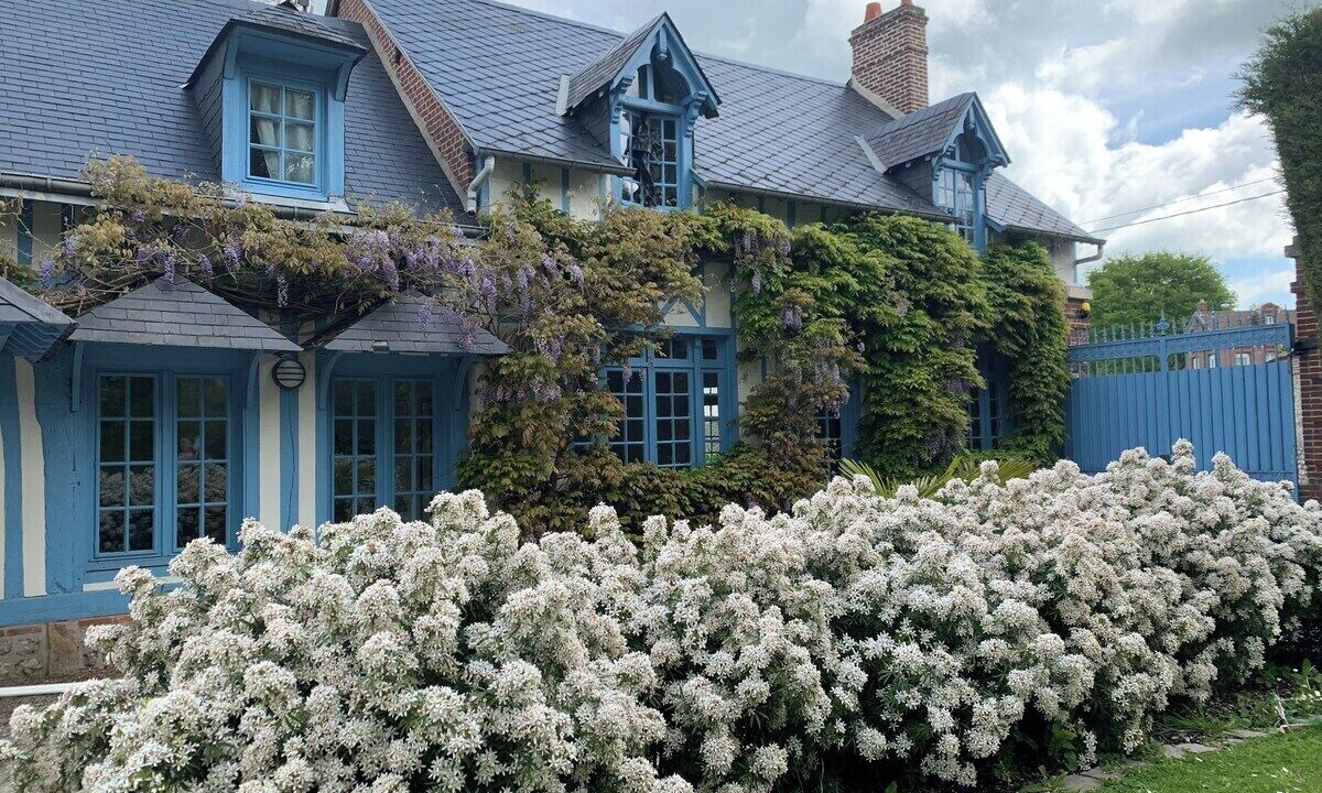 Photo of Outdoor in Saint-Valery-en-Caux