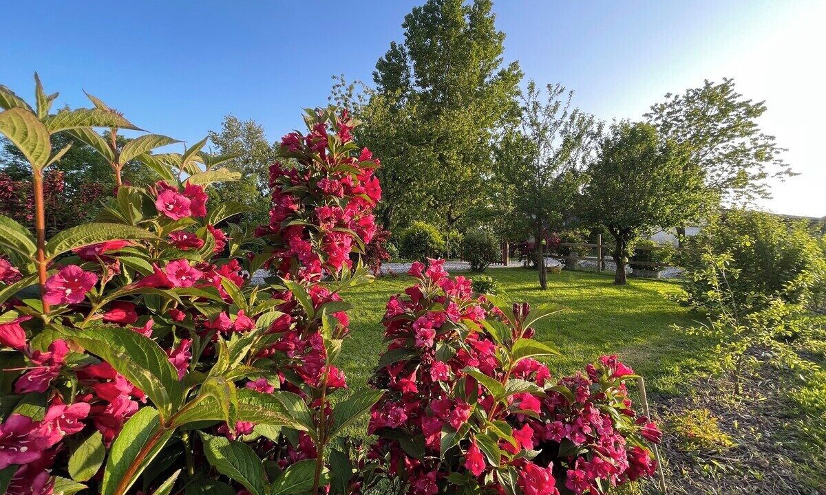 Photo of Outdoor in Sasseville