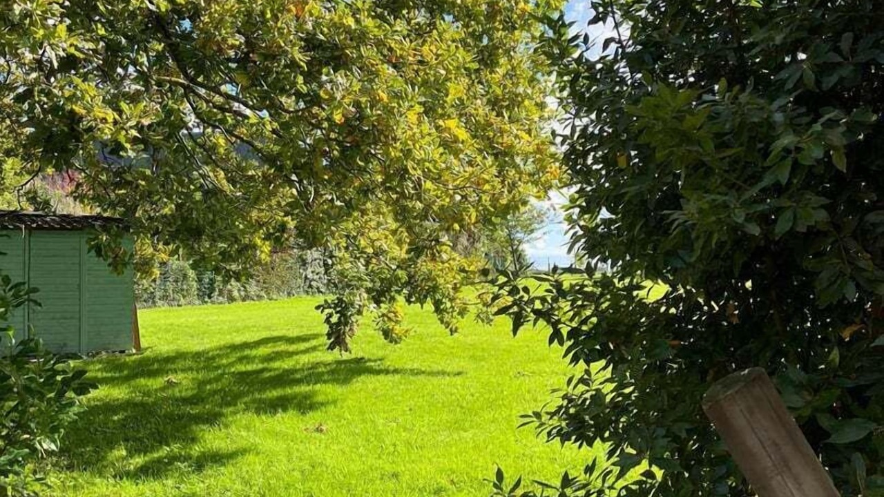 Photo of Outdoor in Saint-Martin-aux-Buneaux