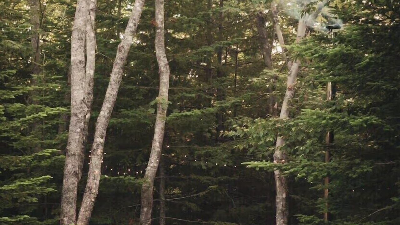 Photo of Outdoor in Halifax County