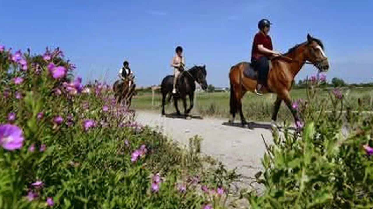 Photo of Others in Sainte-Cecile-Plage