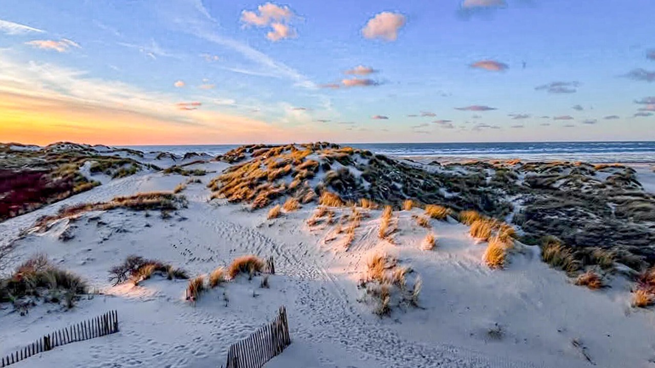 Photo of Others in Sainte-Cecile-Plage