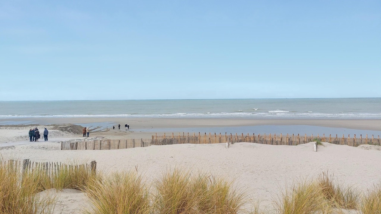 Photo of Others in Sainte-Cecile-Plage