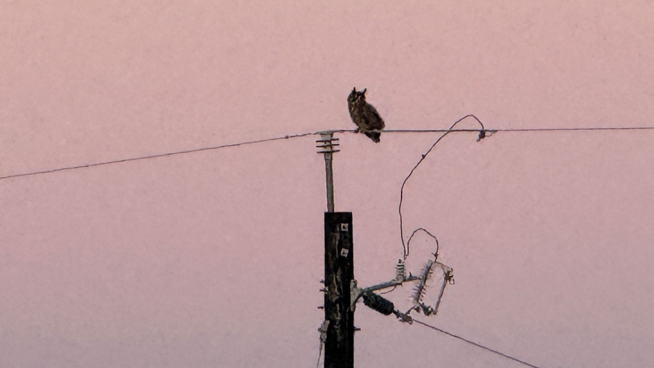 Photo of Others in Rockport