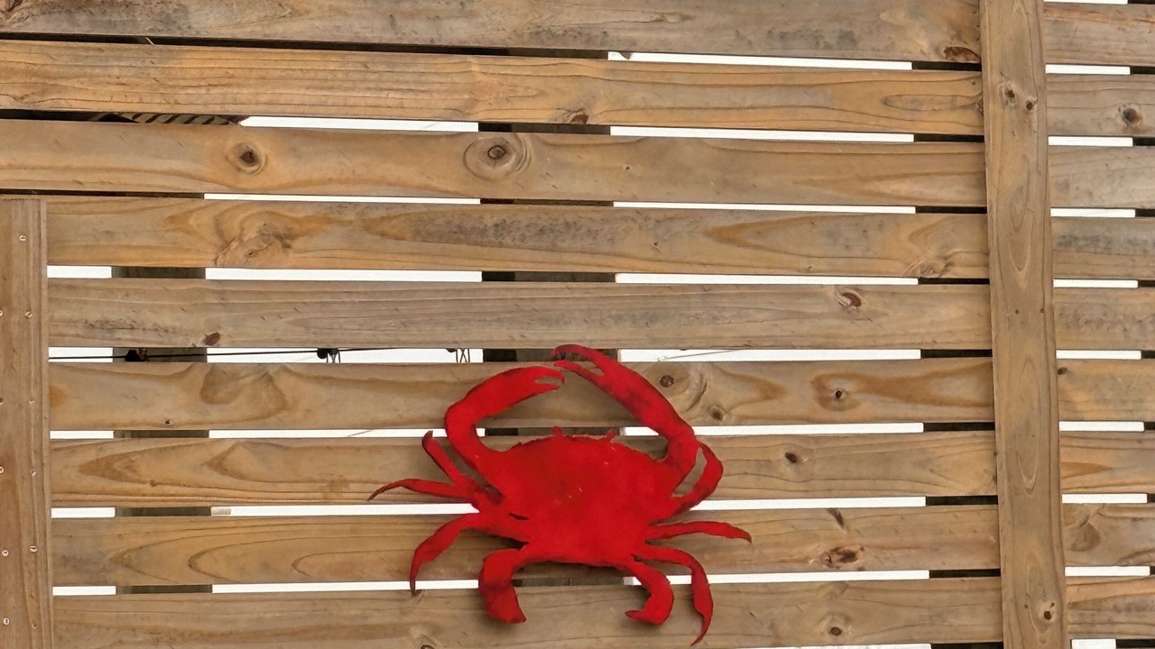 Photo of Outdoor in Rockport