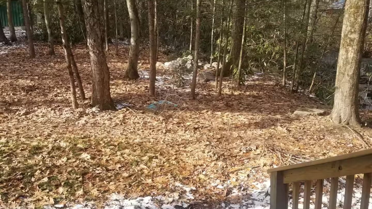 Photo of Outdoor in Mifflinburg