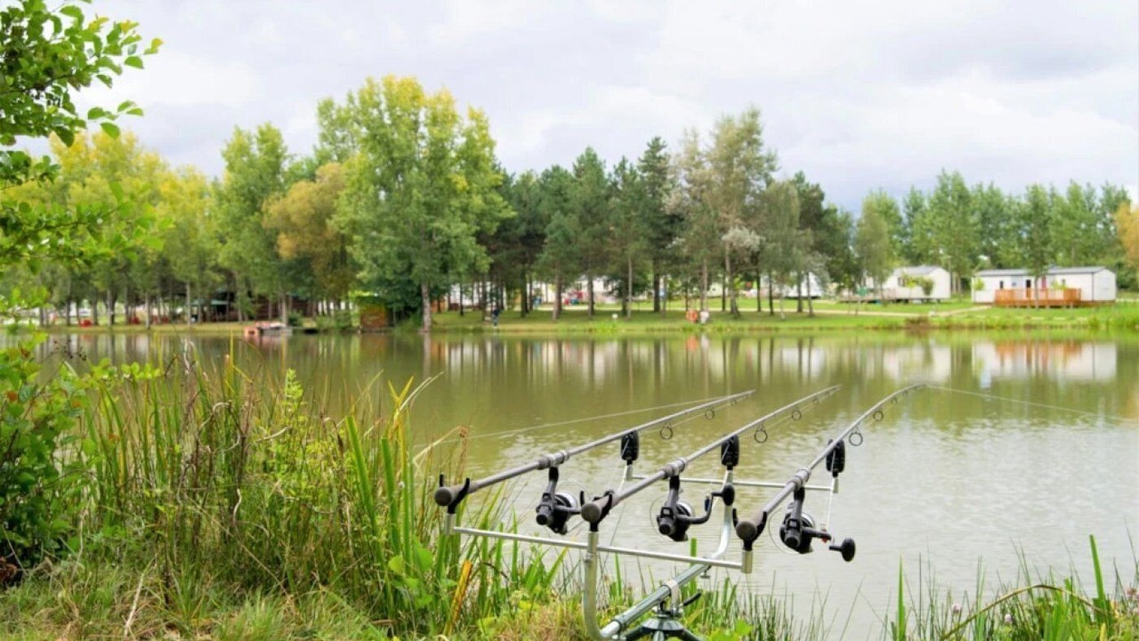 Photo of Others in Aubigny-les-Clouzeaux