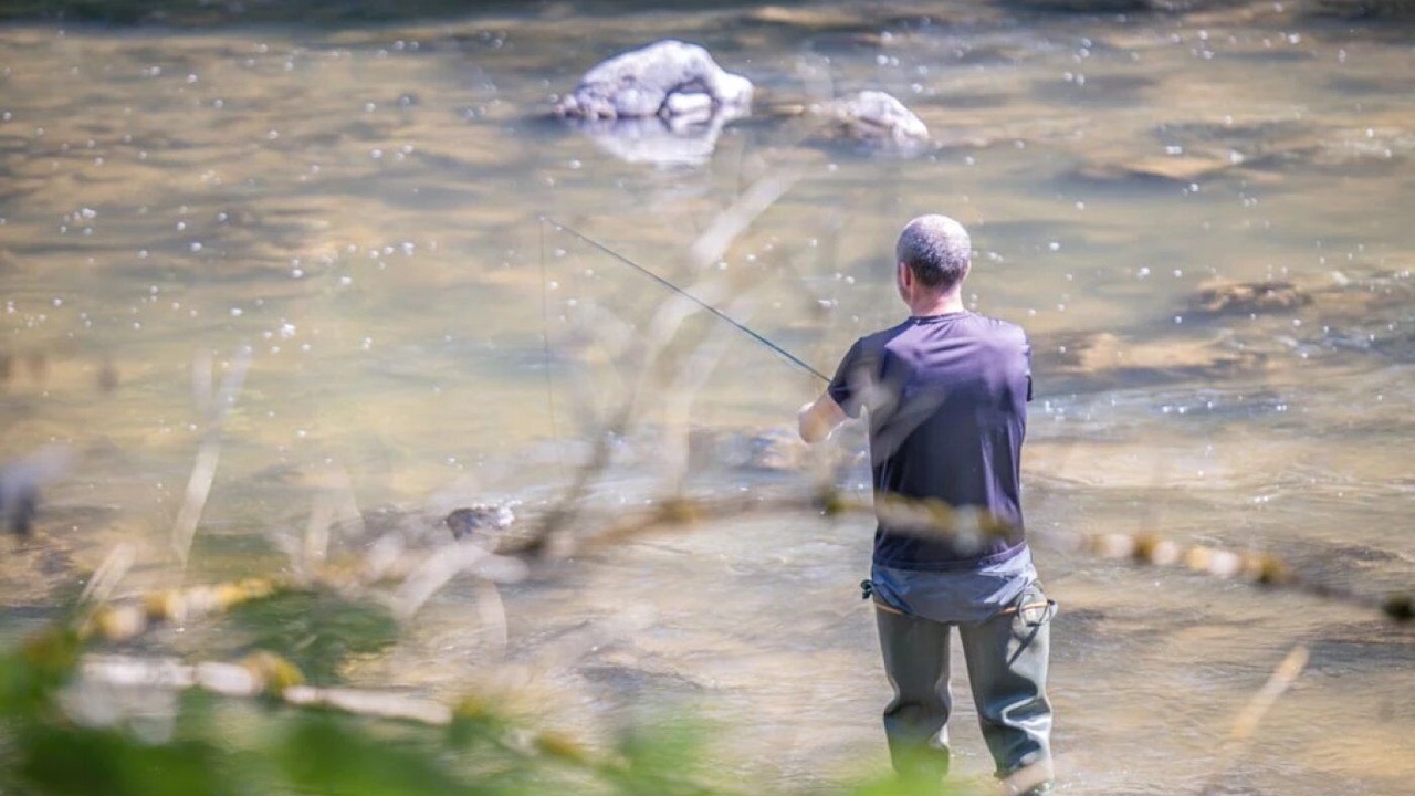 Photo of Others in Saint-Germain-du-Teil