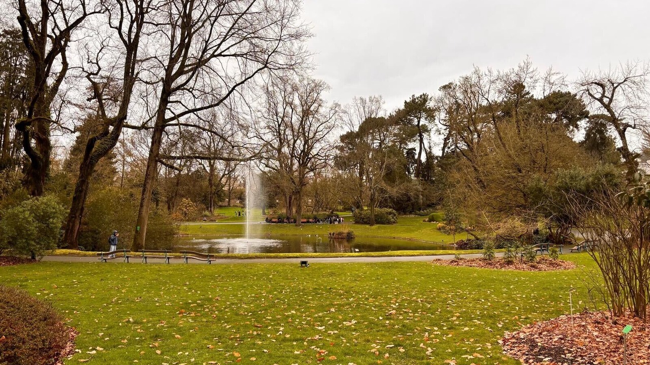 Photo of Others in Coulmiers-Jardin des Plantes