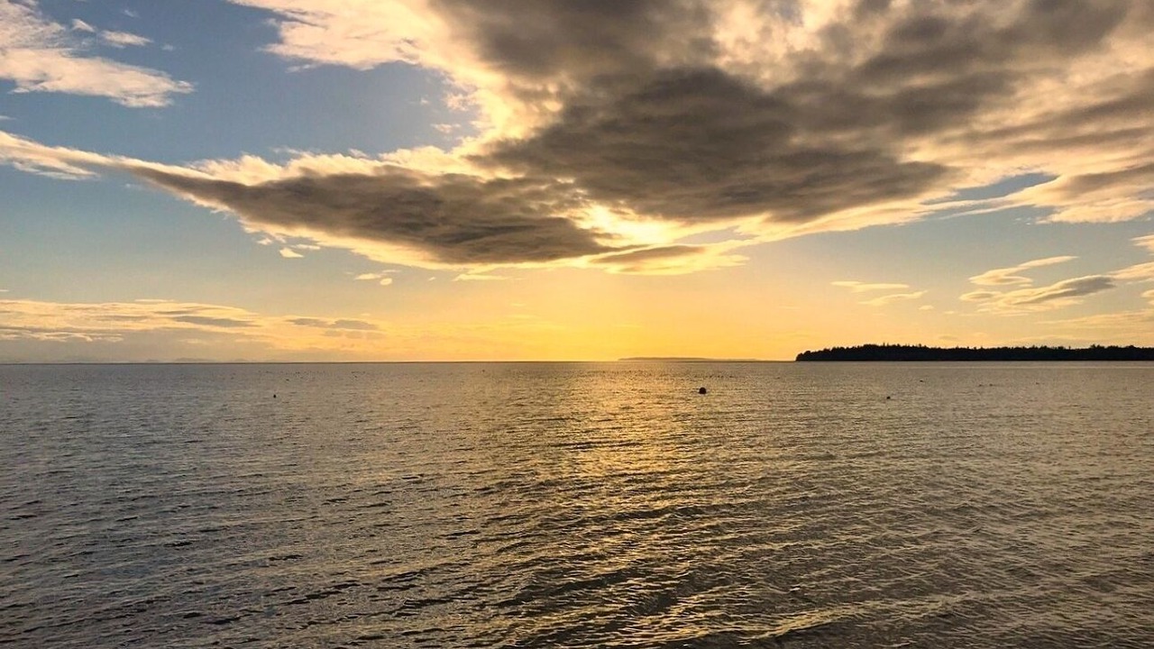 Photo of Others in Birch Bay