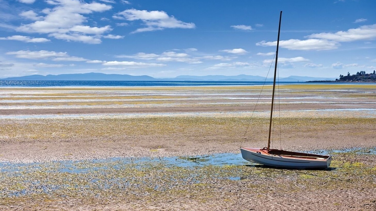Photo of Others in Birch Bay
