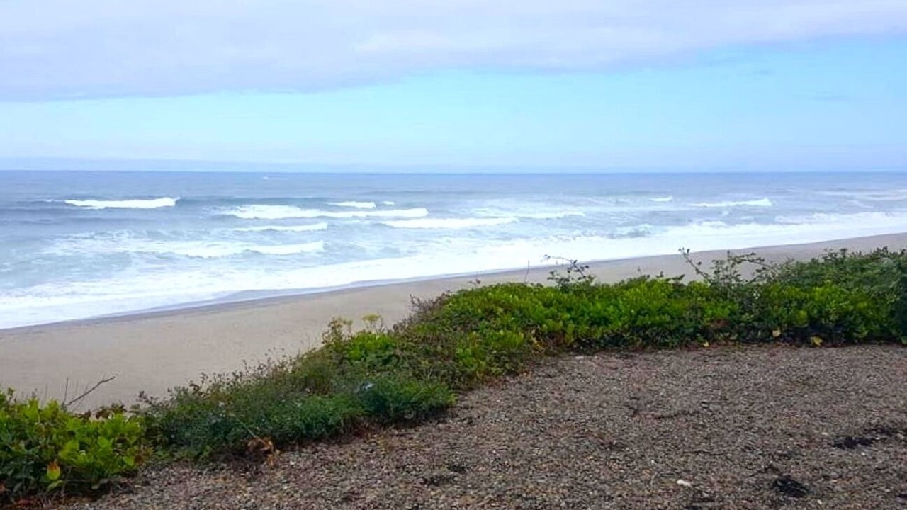 Photo of Others in Gleneden Beach