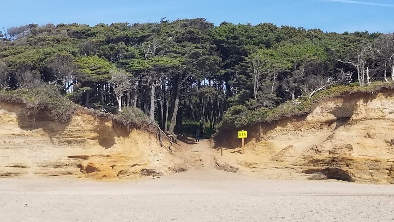 Photo of Others in Gleneden Beach