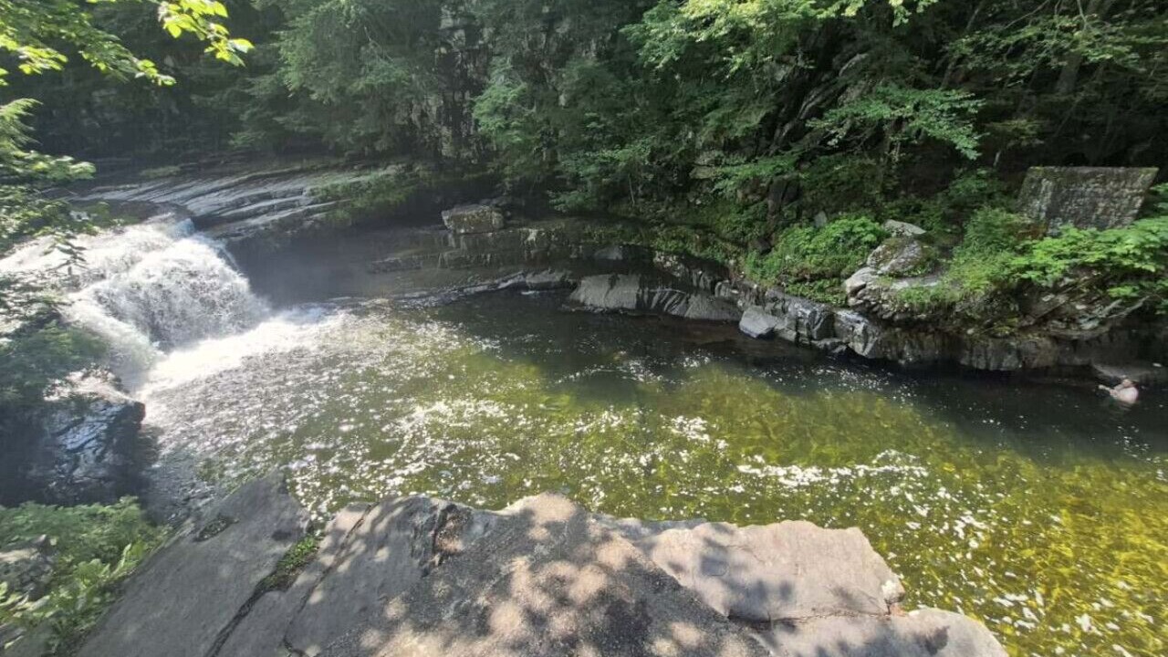 Photo of Others in Bristol