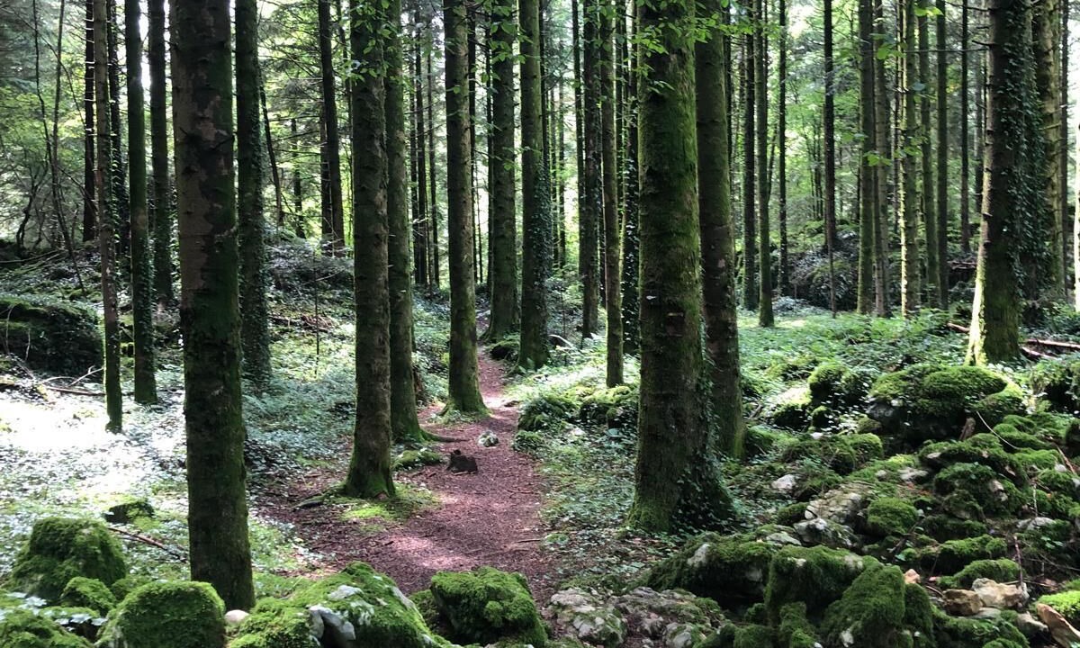 Photo of Others in Saint-Christophe-la-Grotte
