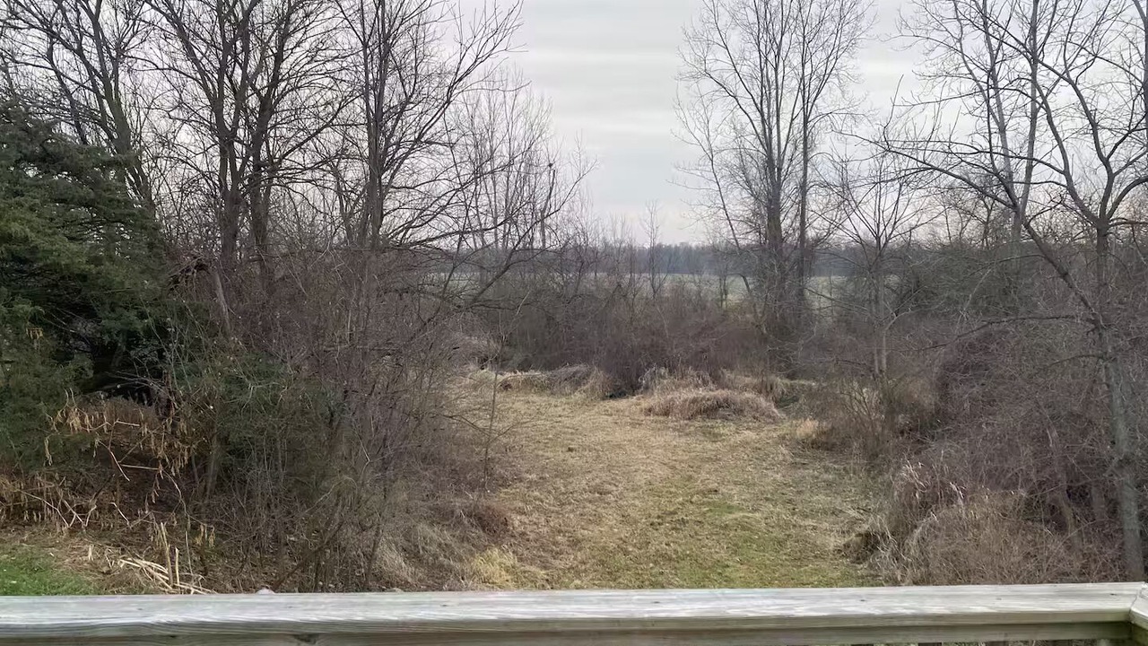 Photo of Outdoor in Willard