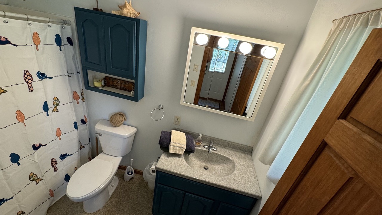 Photo of Bathroom in Annandale