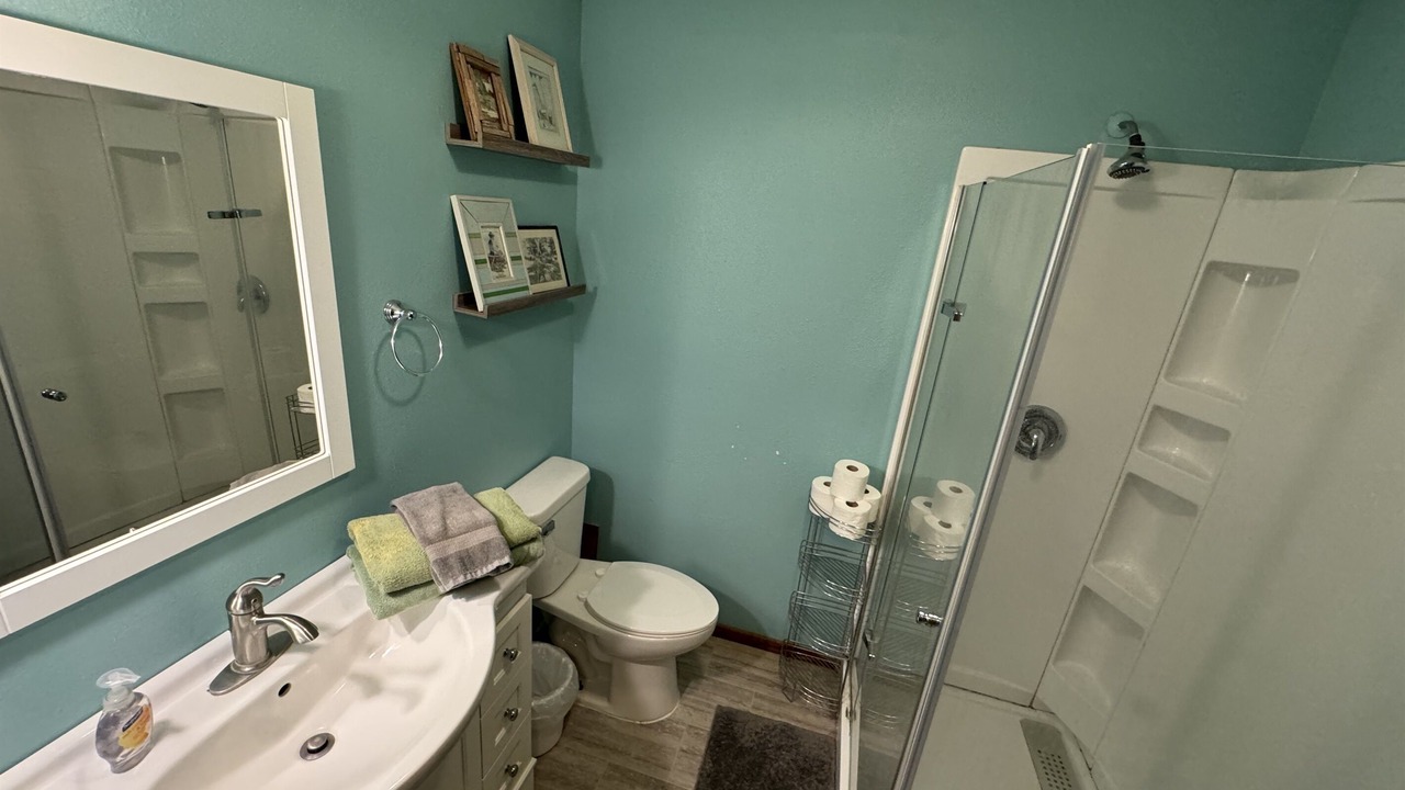 Photo of Bathroom in Annandale