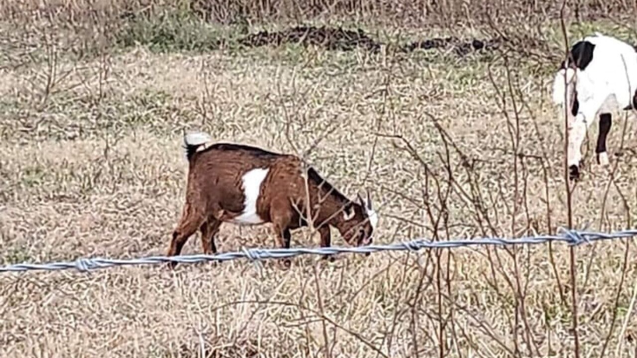 Photo of Others in Navarro County