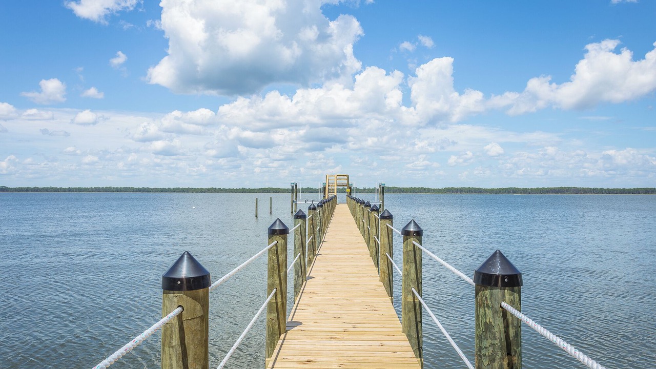 Photo of Others in Alligator Point