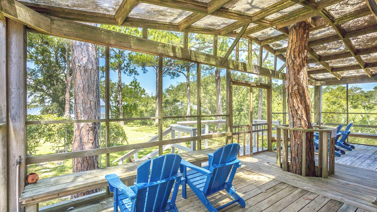 Photo of Outdoor in Alligator Point