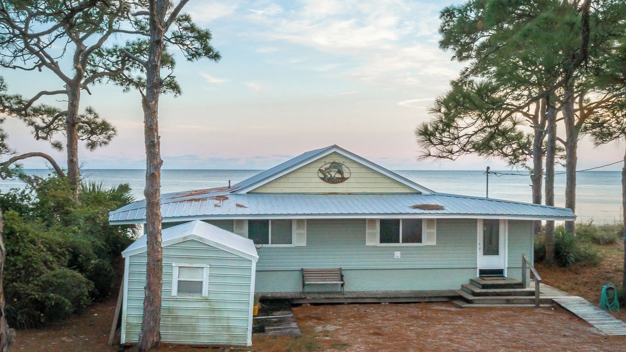 Photo of Outdoor in Alligator Point
