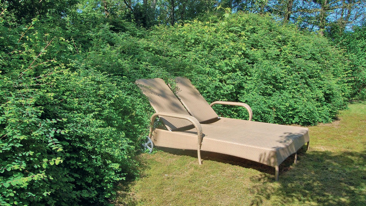 Photo of Others in Østerskov
