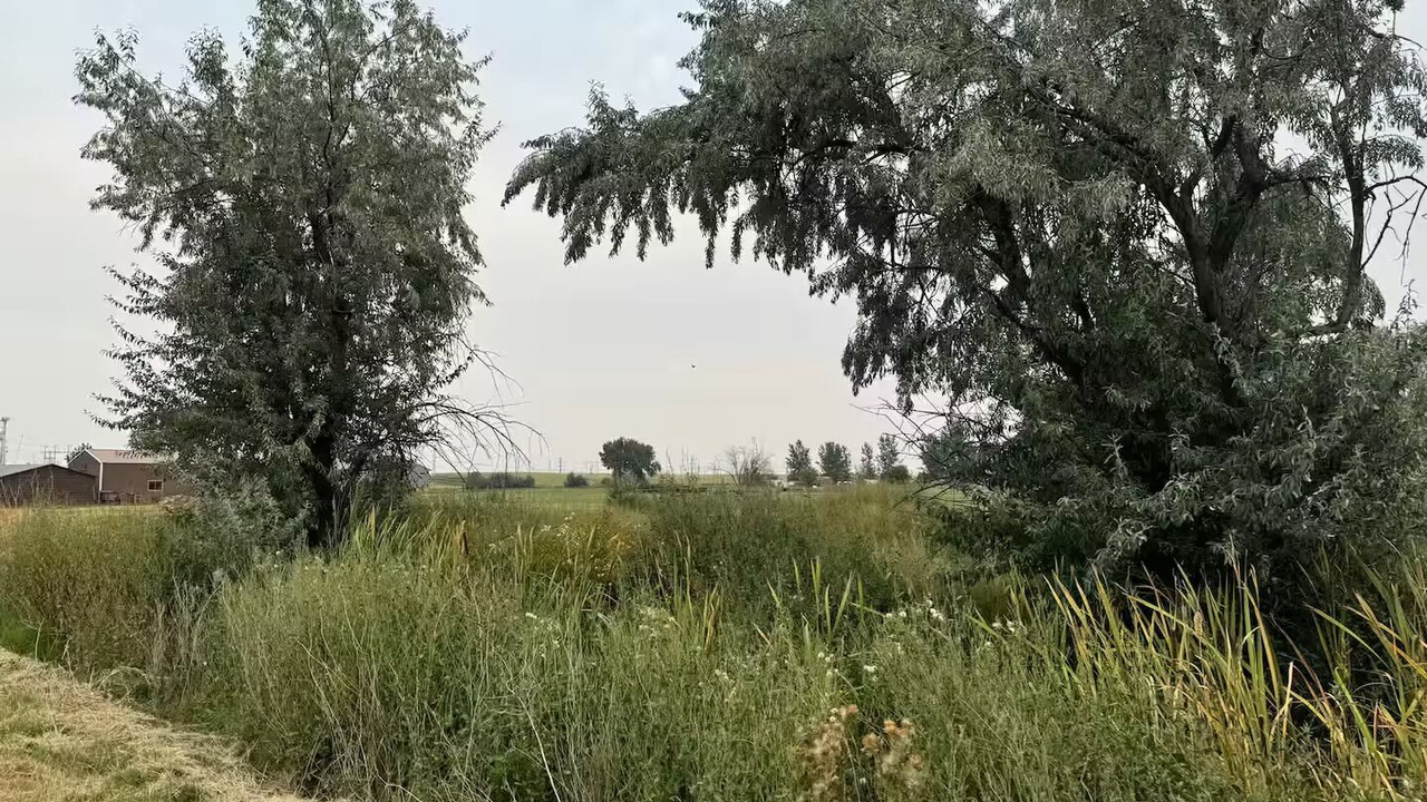 Photo of Others in Boardman