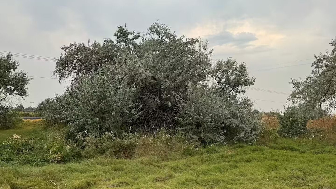 Photo of Others in Boardman