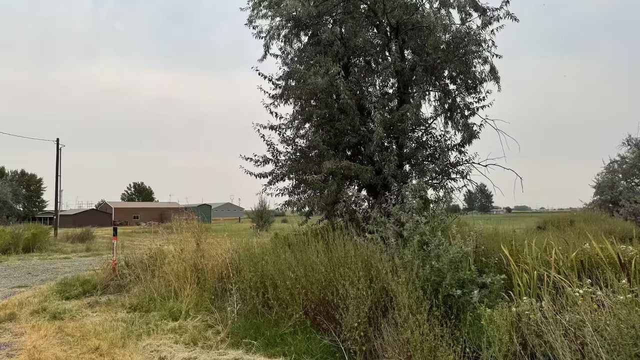 Photo of Others in Boardman