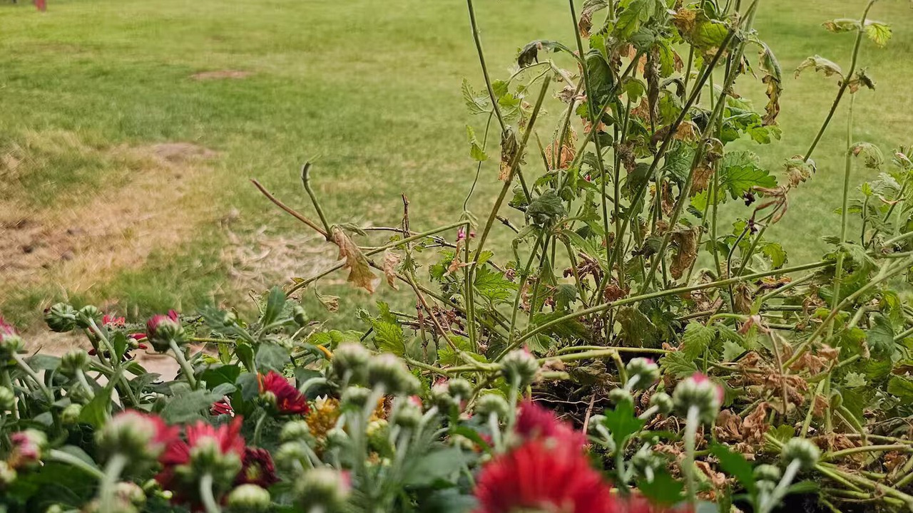 Photo of Others in Boardman