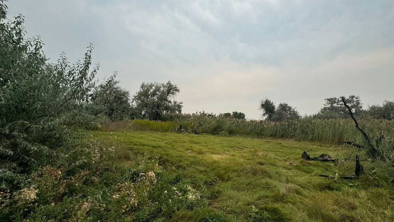 Photo of Others in Boardman