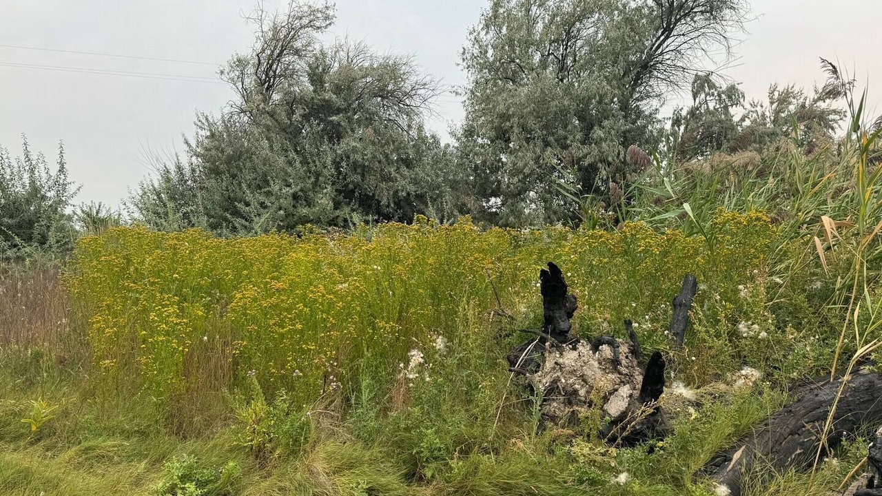 Photo of Others in Boardman