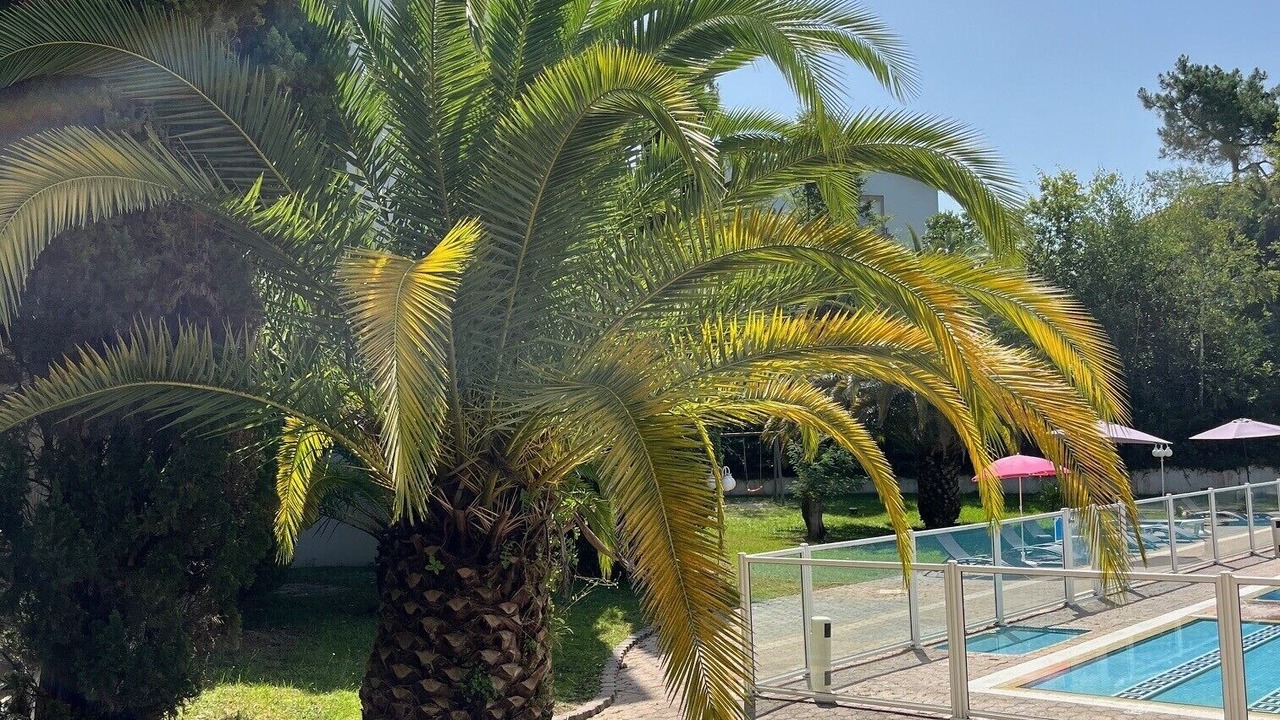 Photo of Outdoor in Anglet